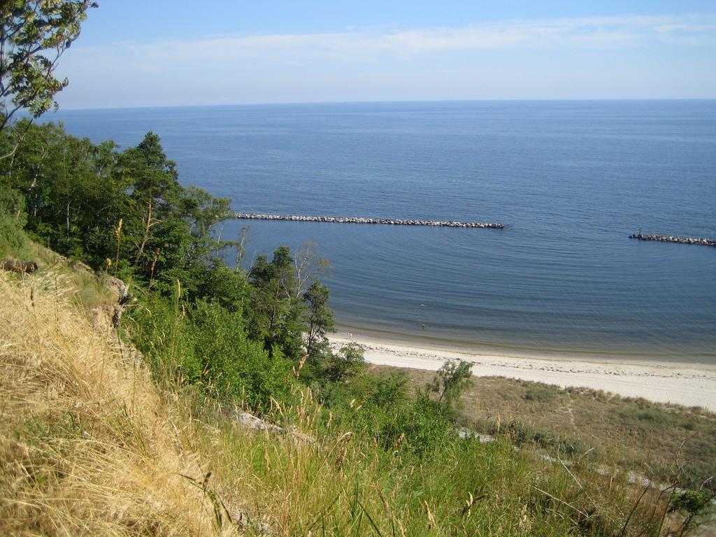Am Kuestenwald Koserow Esterno foto